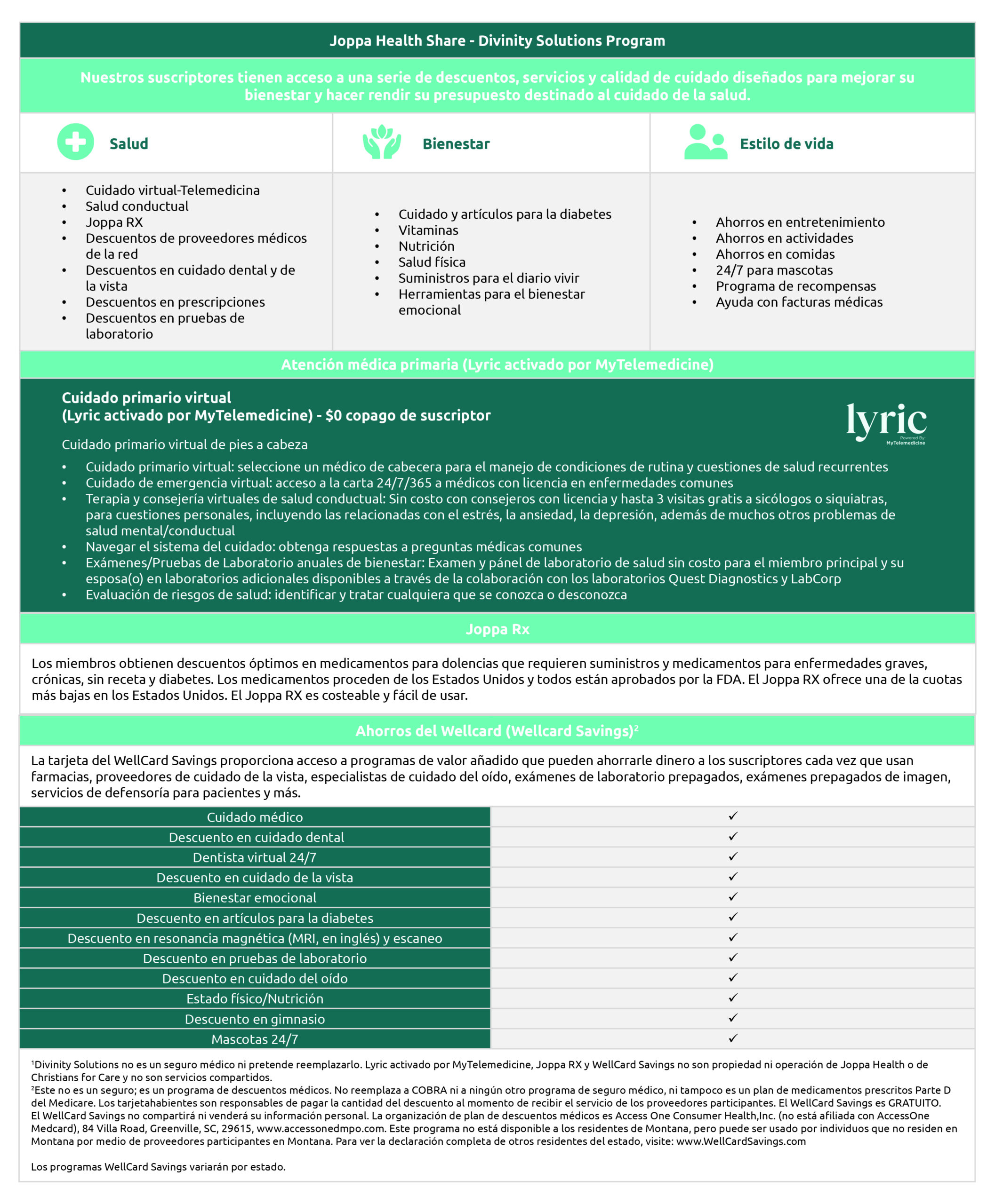 JOPPA-42 10.23.23 Divinity Solutions Program Sheet-Spanish
